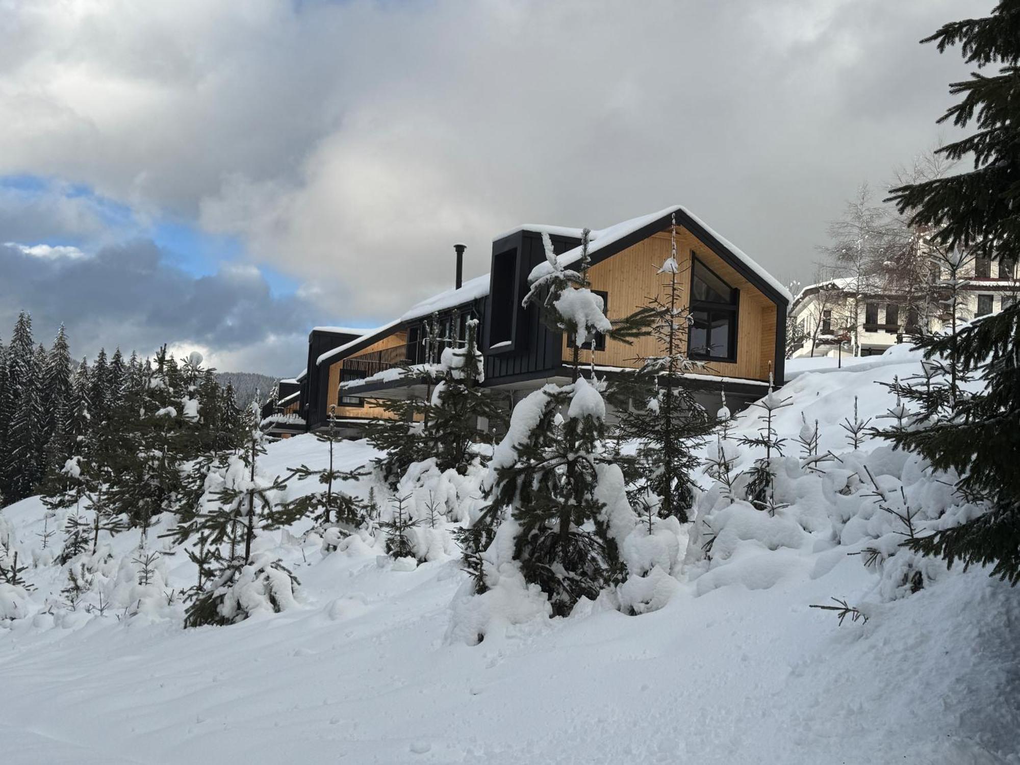 High Five Villas Pamporovo Eksteriør billede