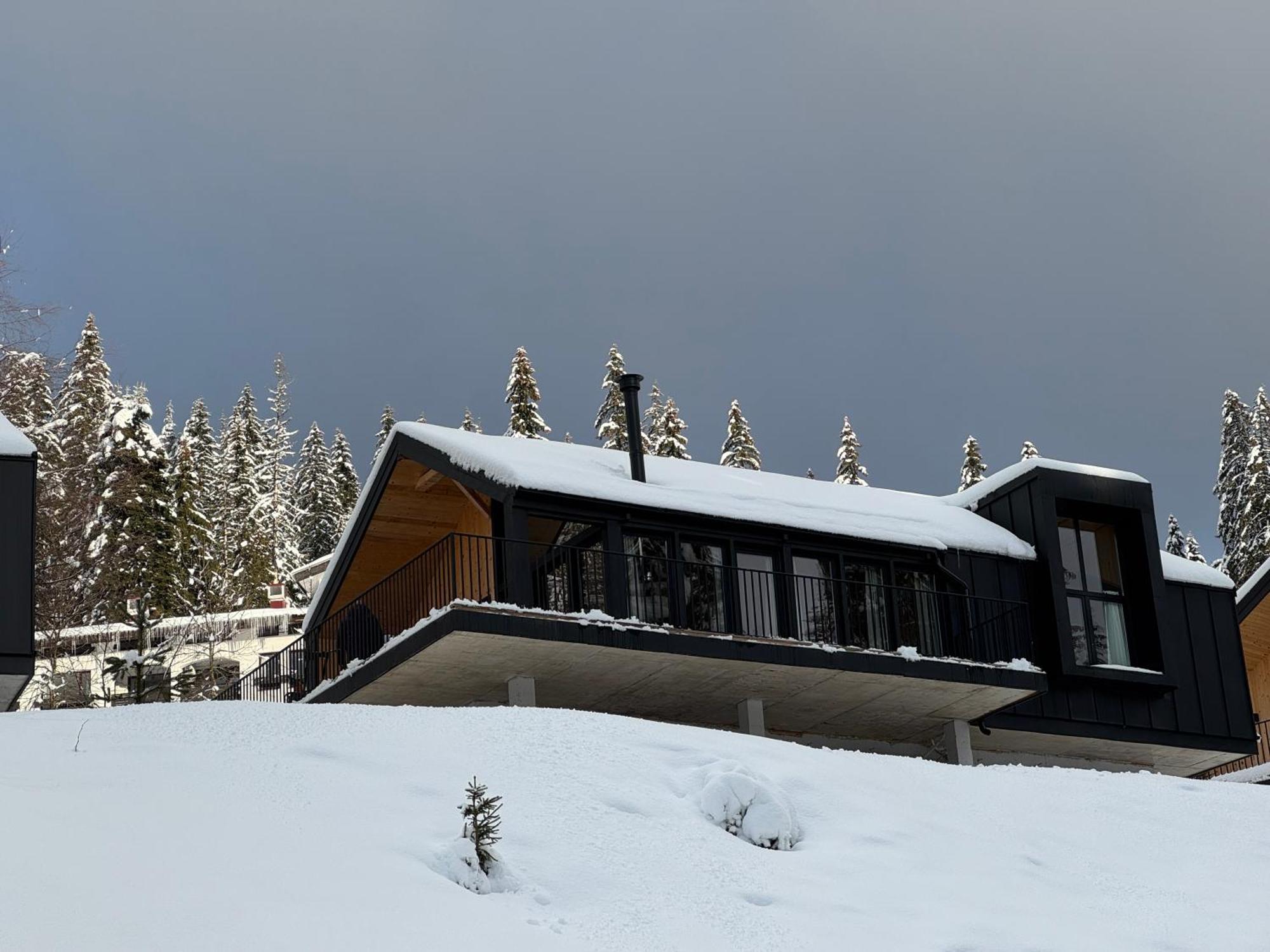 High Five Villas Pamporovo Eksteriør billede